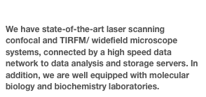 Facilities
We have state-of-the-art laser scanning confocal and TIRFM/ widefield microscope systems, connected by a high speed data network to data analysis and storage servers. In addition, we are well equipped with molecular biology and biochemistry laboratories.